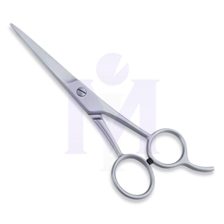  Economy Hair Scissors