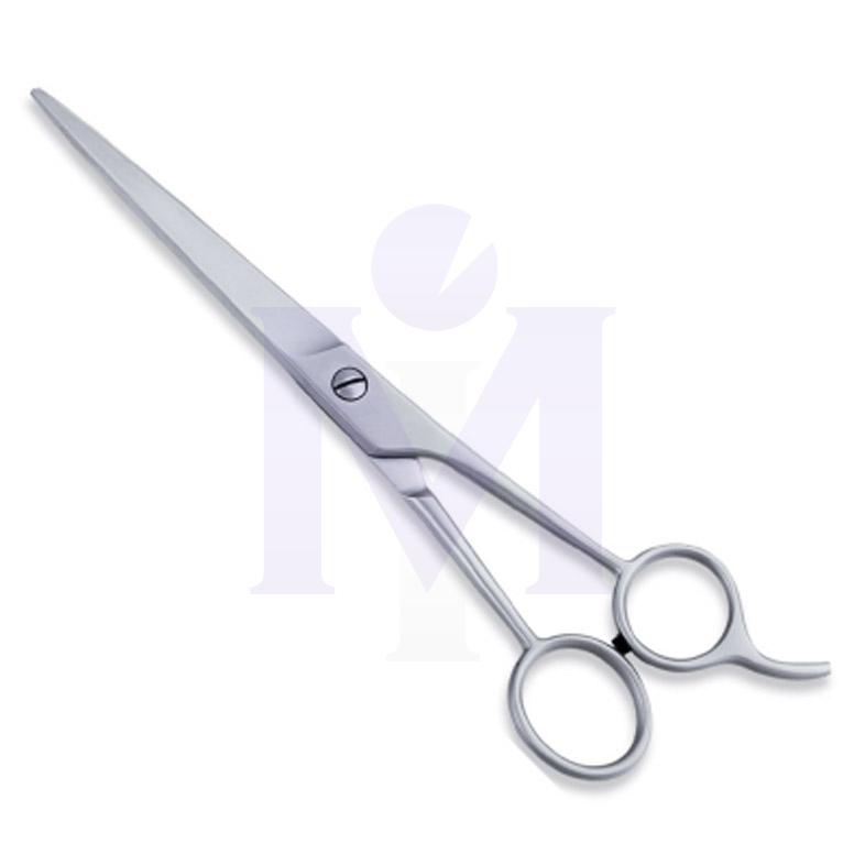  Economy Hair Scissors