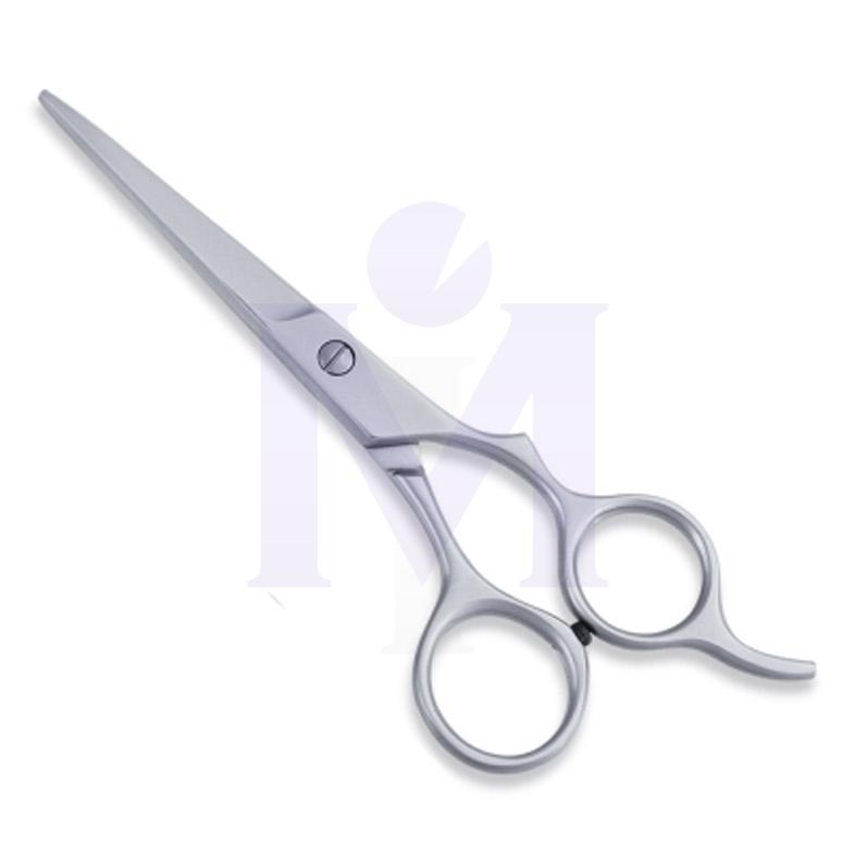  Economy Hair Scissors