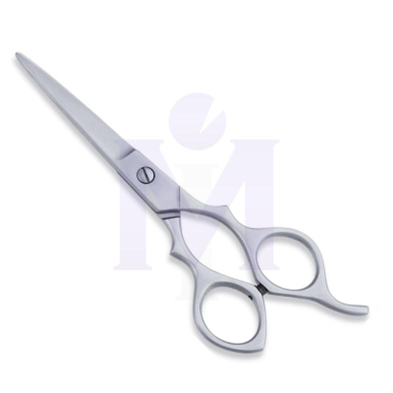  Economy Hair Scissors