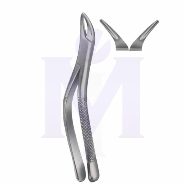 Ext Forceps (American pattern)