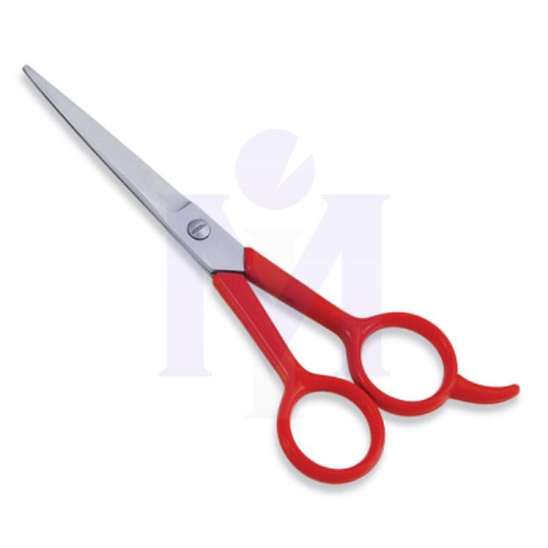  Economy Hair Scissors